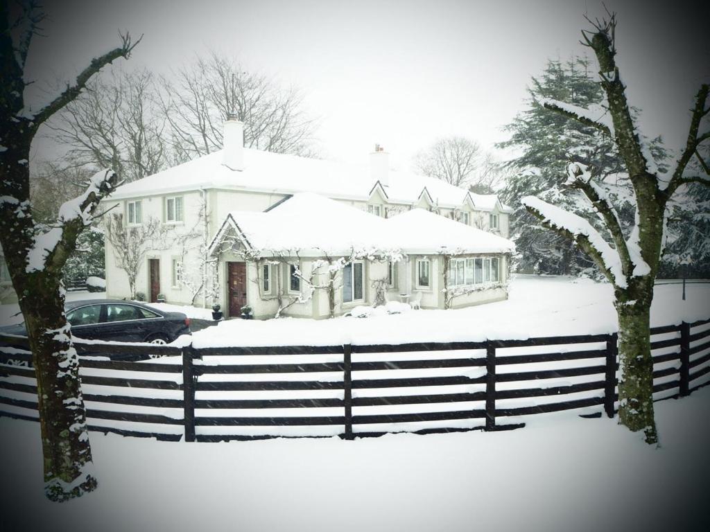 Sea Dew B&B Tullamore Exterior foto